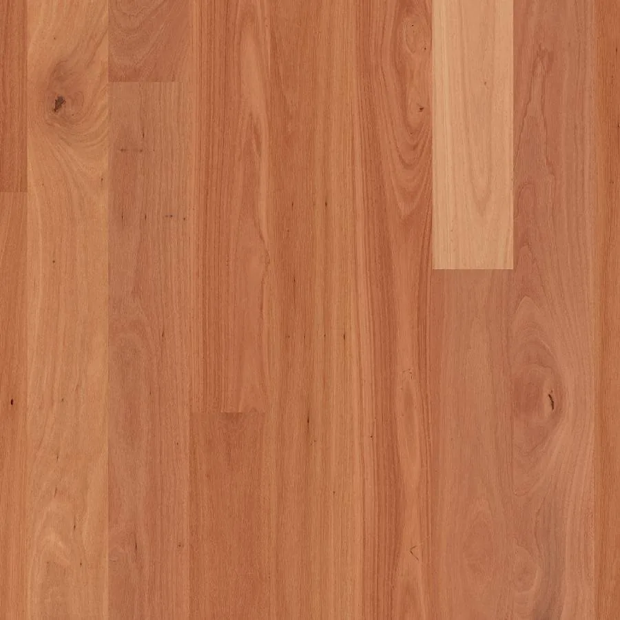 Readyflor 1 Strip – Sydney Blue Gum Gloss